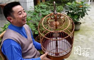 花鸟笼电影在线观看,穿越时空的美丽邂逅  第3张