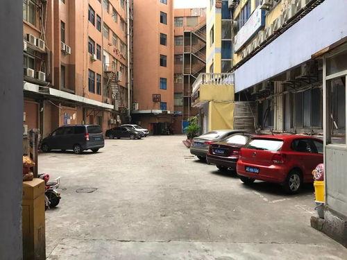 双流步行街爆料视频大全,街头风云,一网打尽 第3张 双流步行街爆料视频大全,街头风云,一网打尽 第3张